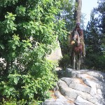 IMG_0048