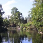 IMG_0059