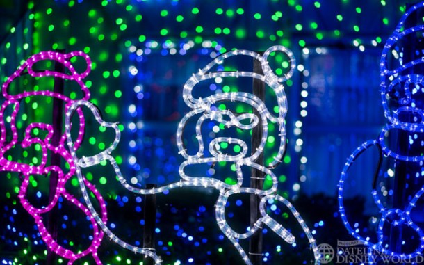 _DSC3317