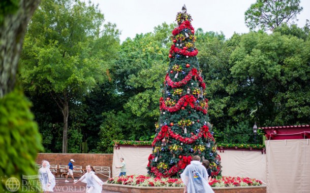 America's tree is in place.
