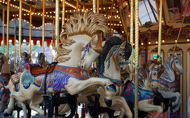 HKDL36