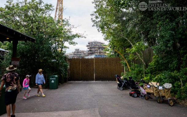 Near the entrance to Rainforest Cafe, you can see a lot of the work being done on Pandora.