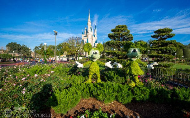 Walt Disney World year in review