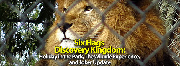 Six Flags Discovery Kingdom Holiday in the Park Lights Up the Night