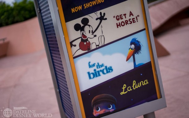 The shorts it is showing.