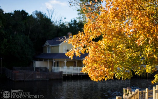Fall colors in the Magic Kingdom!