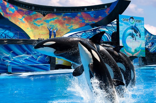OneOcean1