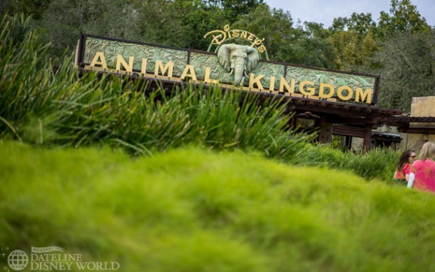 Welcome to the park!