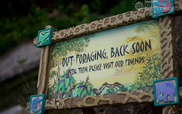 Animals not in their area due to refurbishments near the Tree of Life.