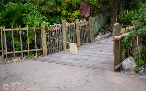 Pathways around the Tree of Life are still closed.