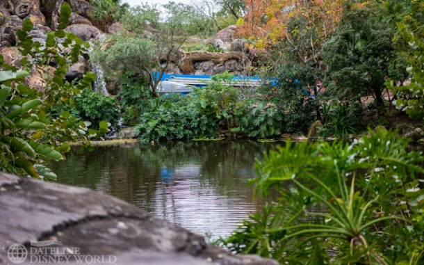 Huge crane near the Tree of Life.