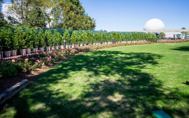 Trees lining the pathway from Future World to World Showcase in preparation for the festival.