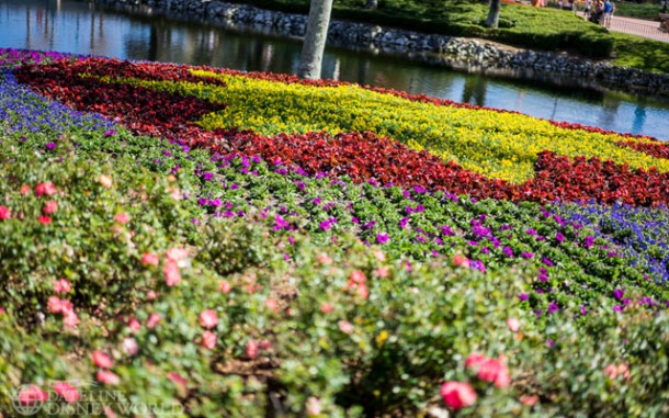 So many flowers.