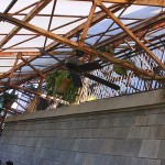 IMG_1664