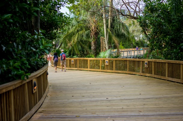 Spring Break is here, and with larger crowds, the bypass from Jurassic Park to Lost Continent was open.