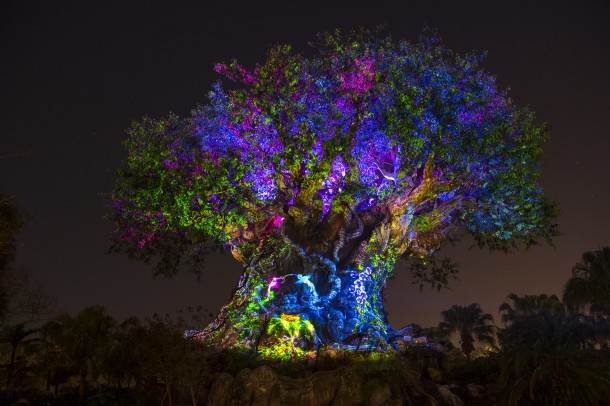 Tree of Life Awakens at Disney's Animal Kingdom at Night