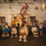 Harambe Wildlife Parti at Disney’s ANimal Kingdom at Night
