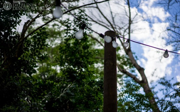 Popcorn lights in the queue for the Safari. Are these new for the nighttime safaris?