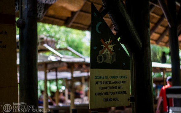 These signs advising against flash photography are new for the nighttime safari. But, with Rivers of Light being delayed, we aren't sure when these nighttime rides will start.