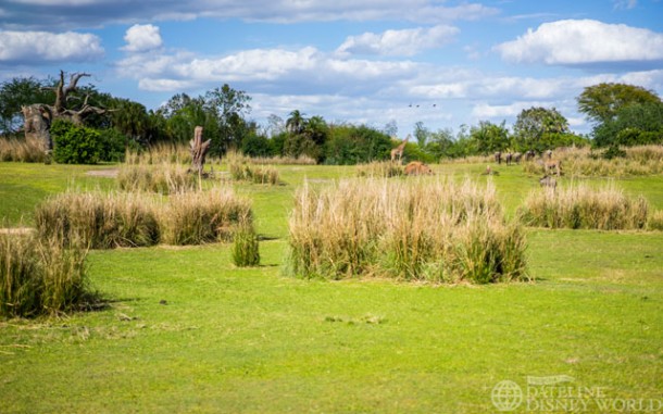 Kilimanjaro Safaris is still one of the most impressive Disney attractions.