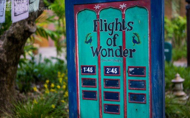 Flights of Wonder is back on schedule.