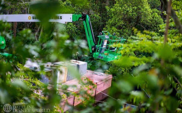 Spotted in the wild: a cherry picker!