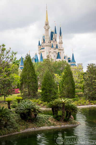 I love the look with these newer trees.