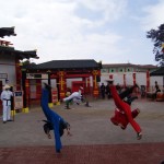 flipping ninjas