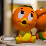 Orange Bird