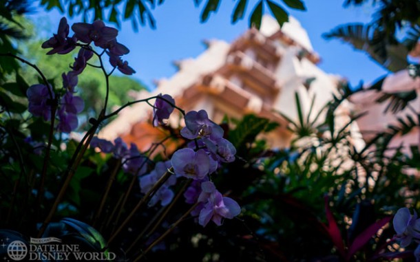 _DSC5105