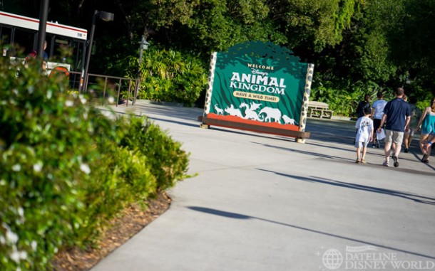 Welcome to Animal Kingdom!