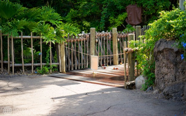 Tree of Life path still closed.