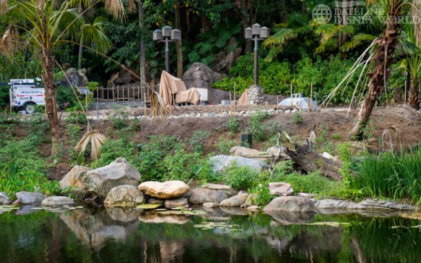 Work still being done on this area on the backside of the Tree of Life.