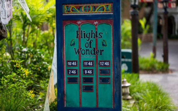 Flights of Wonder is back to having a full show schedule.