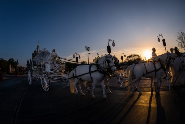 Disney's Fairytale Weddings Offers New Wedding Venue Inside Magi