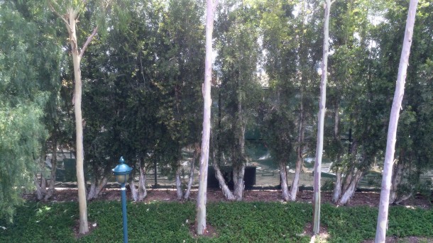Just behind the scrims on the tramway, the remaining debris is being cleared.