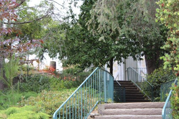 The Chalet remains looking over Fantasyland while construction netting and tree removal creeps closer. 
