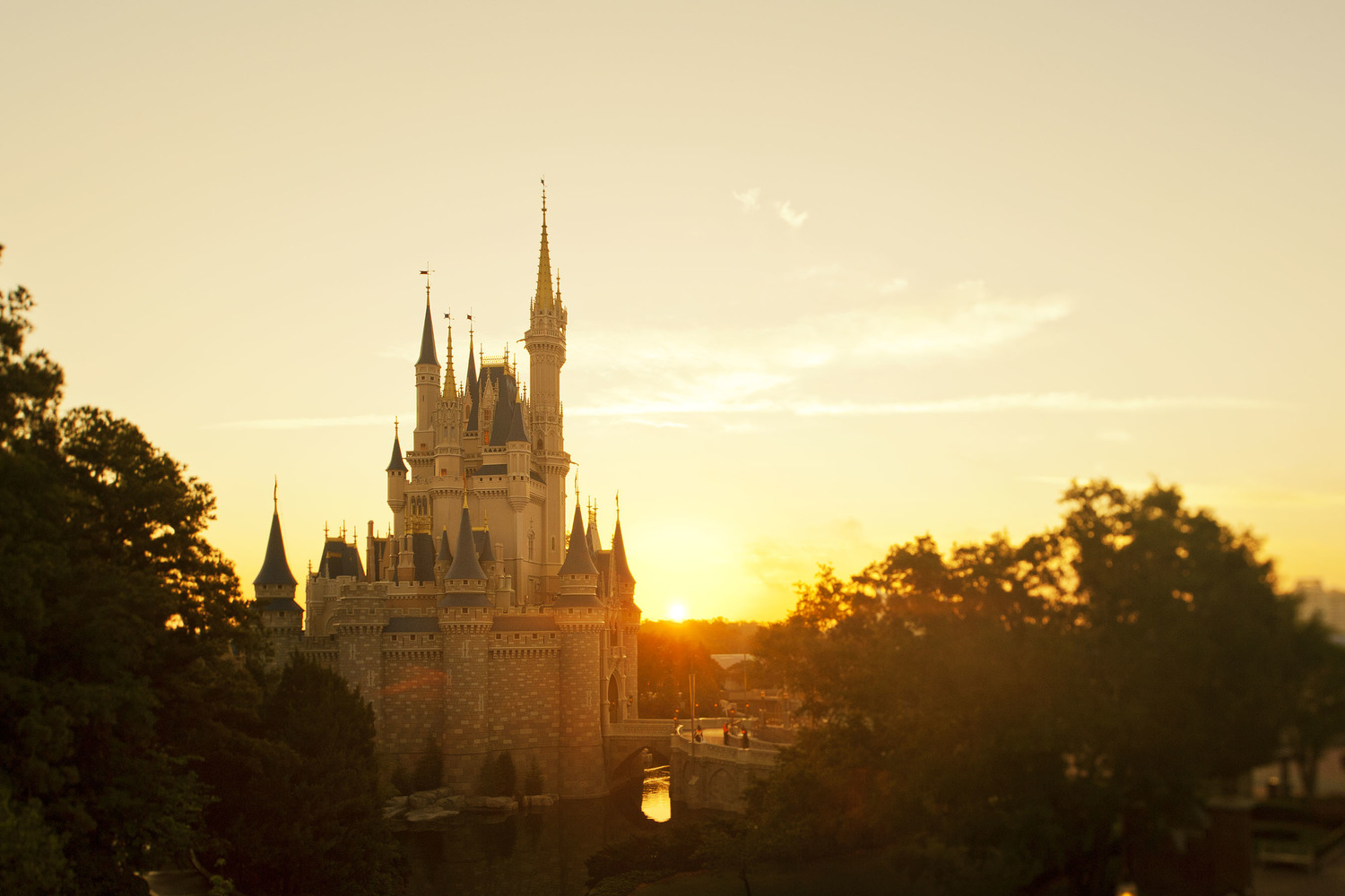 Disney World Update – Reopening Guidelines For Orlando Parks!