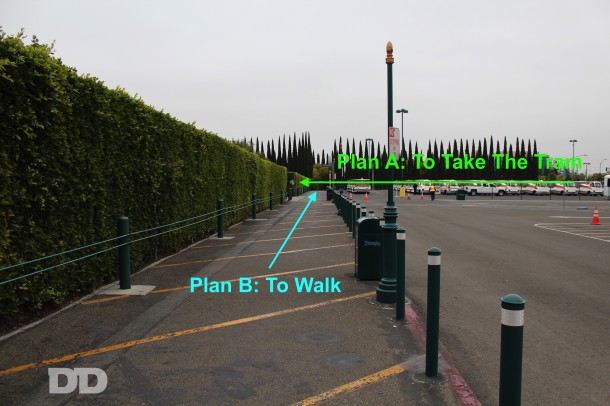 From the Pinocchio Lot, either go through the hedges to the tram, or along the hedges to the sidewalk. 
