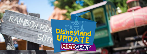 Disneyland Update – The Not So Crazy Days of Summer