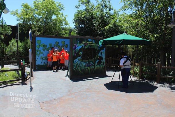 Photo Spot in A Bug's Land.