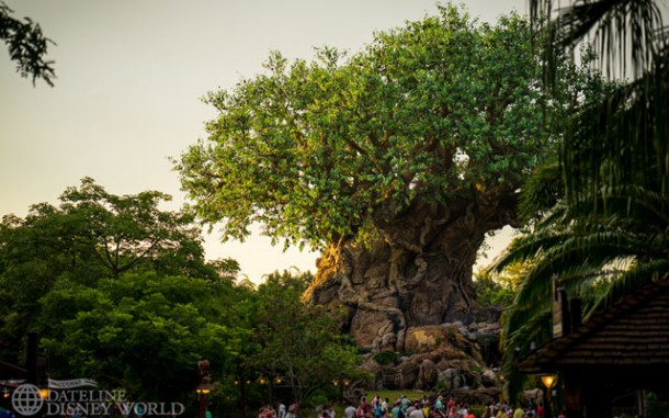Welcome to Animal Kingdom!