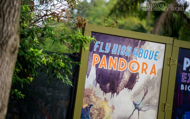 There are a bunch of new Pandora advertisements on the construction walls.