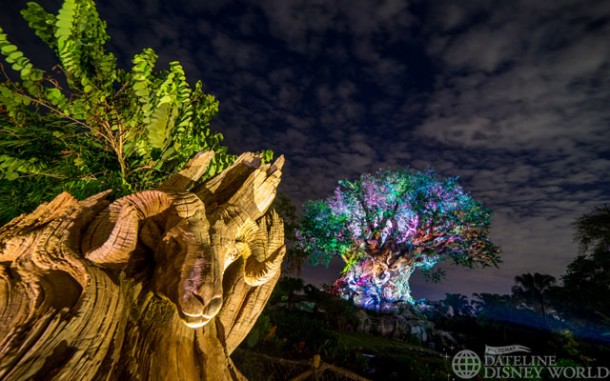 The Tree of Life has multiple different lighting packages throughout the night.