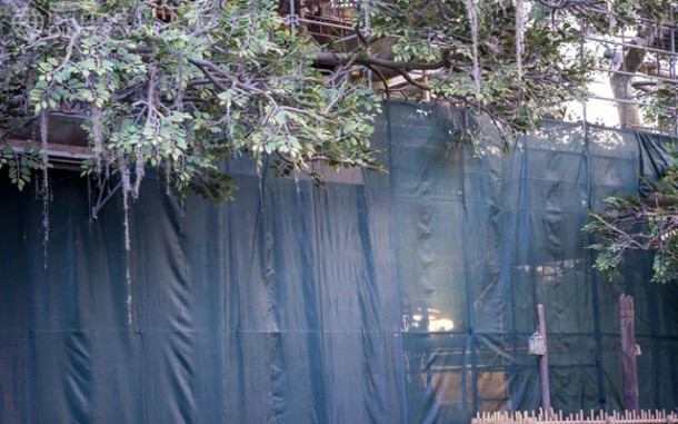 Swiss Family Treehouse is currently closed for refurbishment.