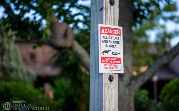 Another alligator/snake sign near the Rivers of America.