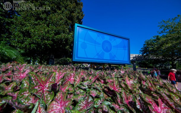 I wonder if the tip boards will ever come back, or if Disney wants us to just use the app moving forward.