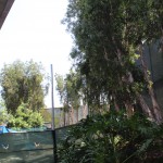 SWL-July 13-Fence 1