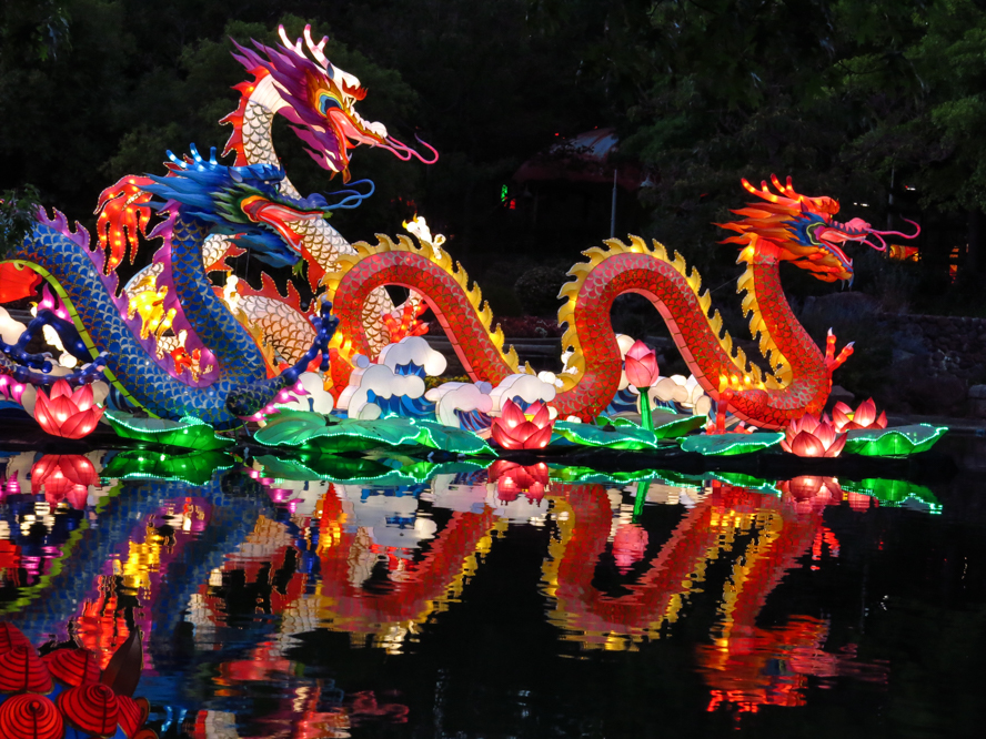 Lumination Colors The Night At Gilroy Gardens