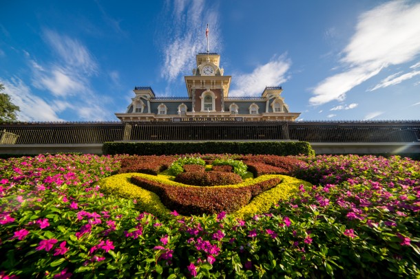 Magic Kingdom Mickey Floral